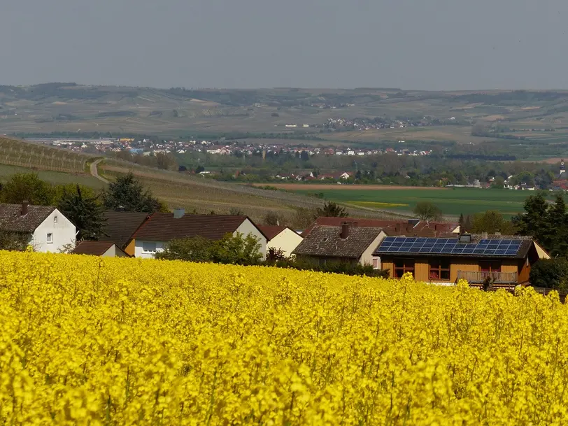 Weingut & Gästezimmer Butzbach in Bad Kreuznach- Winzenheim